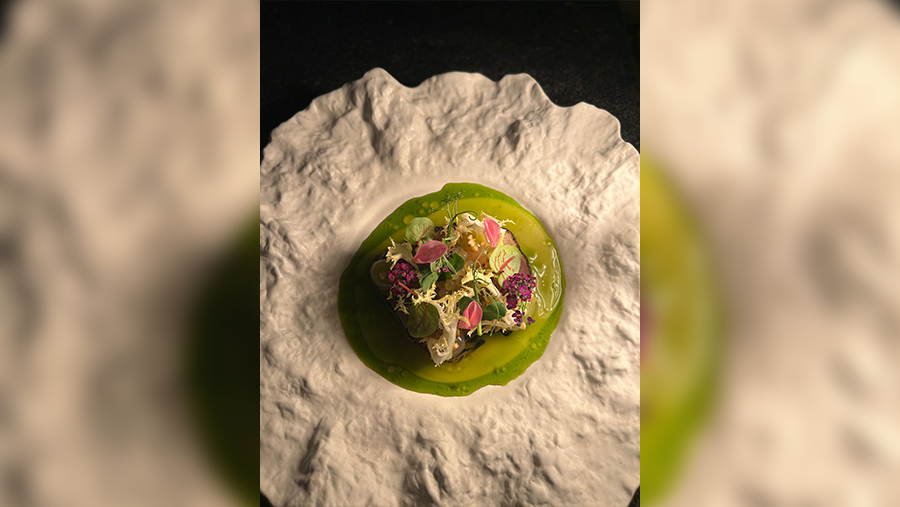 FSA-Down-To-Earth_0013_Gerecht-Dry-Aged-Koolrabi